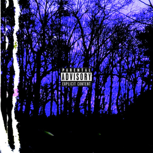 Purple scars (feat. My odds)