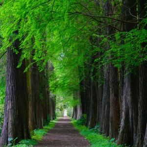 一念清宁（钢琴曲）