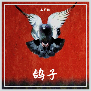 鸽子