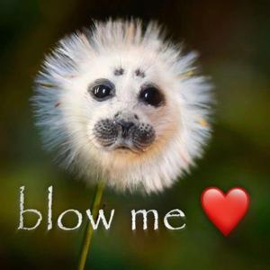 Bruh (feat. xul south pacific trading co. est 1918)