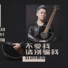 不爱我请别骗我 (DJ何鹏版)