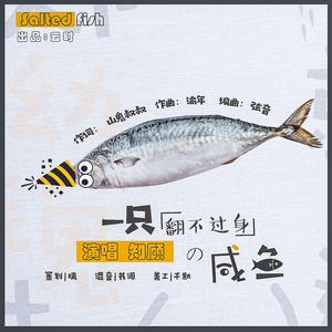 一只翻不过身的咸鱼