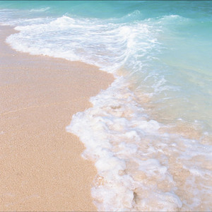 湖畔 ～中禅寺湖にて～