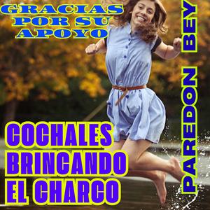 COCHALES BRINCANDO EL CHARCO