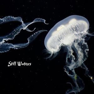 Still Waters