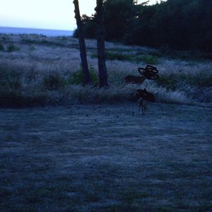 Hinter dem Horizont