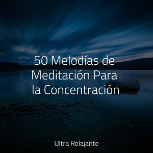 Brisa A Través De Las Edades