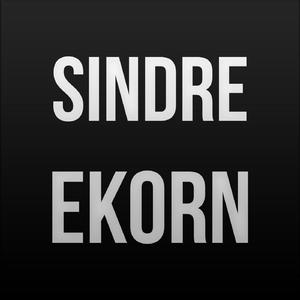 Ekorn