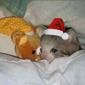 圣诞唉曲 feat.Jesse