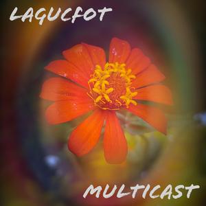 Multicast