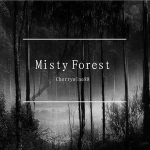 迷雾森林 (Misty Forest)