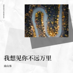 我想见你 不远万里 (DJ阿奇版)