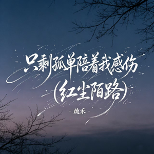只剩孤单陪着我感伤(红尘陌路)