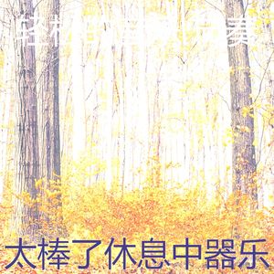 抚慰的正在学习回忆