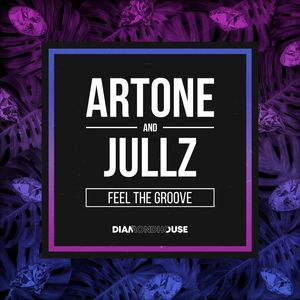 Feel the Groove (Deebiza Remix)