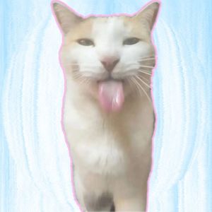 思 念 你 到 空 寂