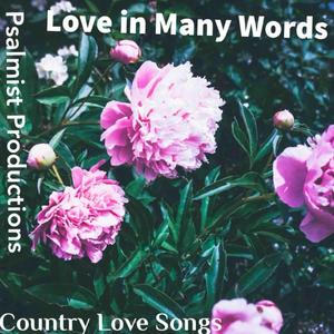 A Promise I Keep Breaking