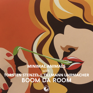 Boom Da Room (Analouge Killer Mix)