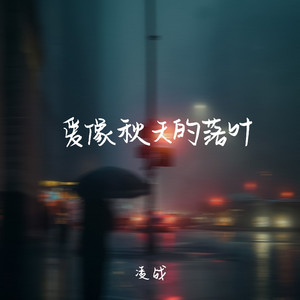 爱像秋天的落叶 (DJAX1n版)