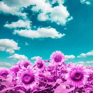 安静的深度专注声音