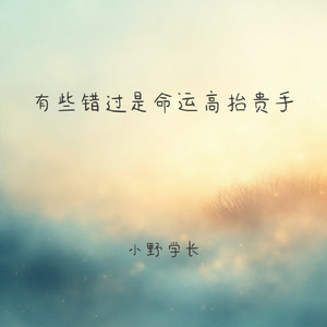 有些错过是命运高抬贵手