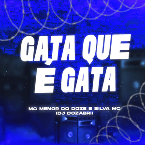 Gata Que É Gata