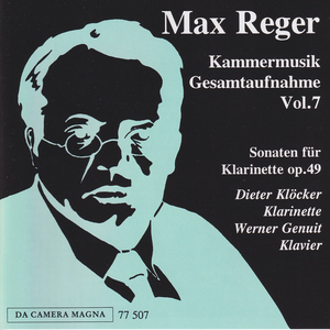 Clarinet Sonata in F-Sharp Minor, Op. 49 No. 2: I. Allegro dolente