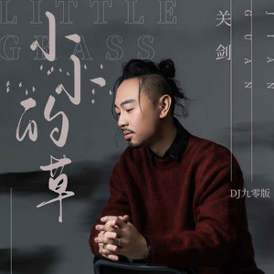 小小的草 (DJ九零版伴奏)