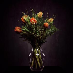 Wir sind die Geister. Wir denken nach, bevor wir überlegen.