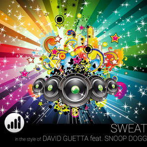 Sweat (in the Style of 'David Guetta feat. Snoop Dogg') [Karaoke Version]