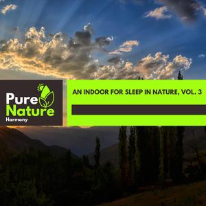 Ultra Addition Summer Vibes