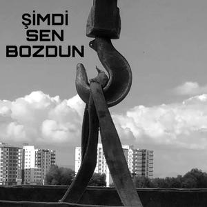 Şimdi Sen Bozdun (Rock Version)