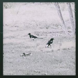 Now, You Are Totally Lost