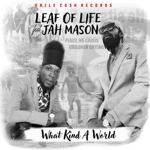 What Kind a World (feat. Jah Mason)