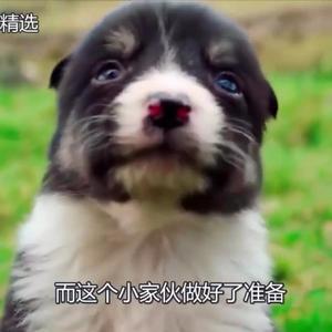 “I am the man”【Basss Free】