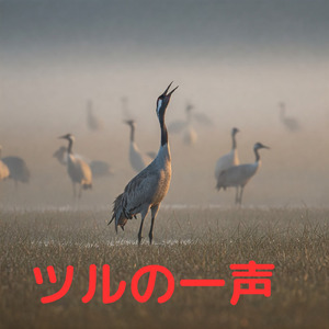 愛と悲しみの旅