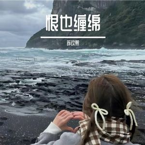 雨巷电子笺