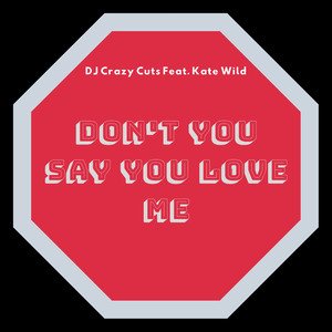 Don't You Say You Love Me