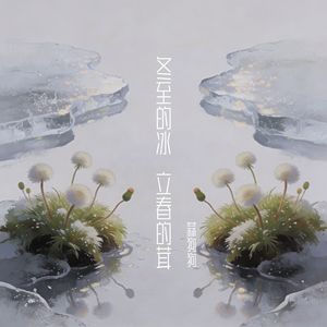 等风也等你