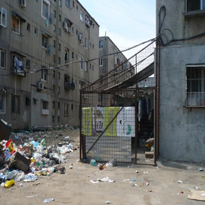 The Streets Will Kill You