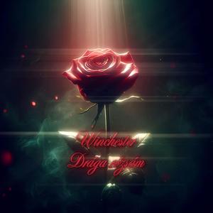 Drága rózsám (Mi Rosa)