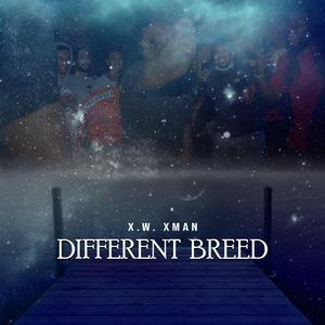 Different Breed
