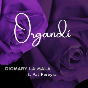 Organdí (feat. Pat Pereyra) (Versíon Pop Jazz)