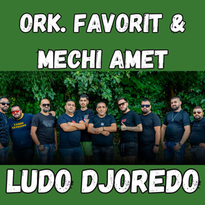 Ludo Djoredo