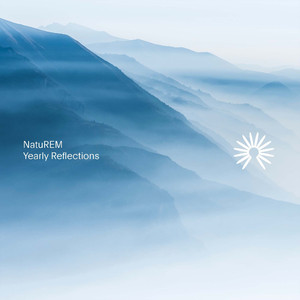 Reflection Birds in Rain (Nature)