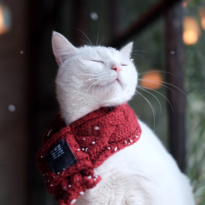 天涯（翻自 任贤齐）