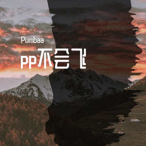 pp不会飞658