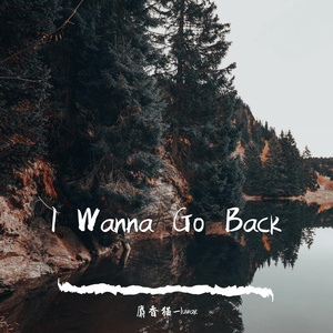 I Wanna Go Back