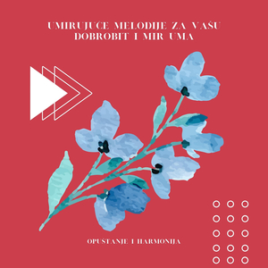 Iscjeljujuće Vode - Budi Miran