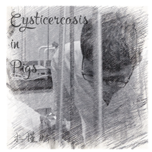 Cysticercosis in Pigs